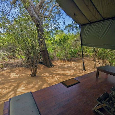 Yala Hotel Lion -Air Conditioned High Luxury Safari Camp מראה חיצוני תמונה