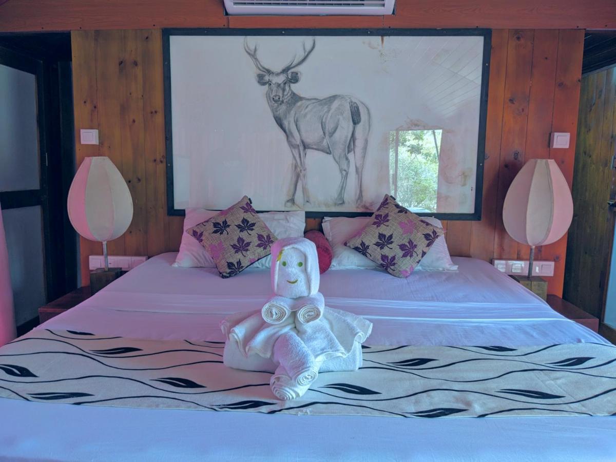 Yala Hotel Lion -Air Conditioned High Luxury Safari Camp מראה חיצוני תמונה