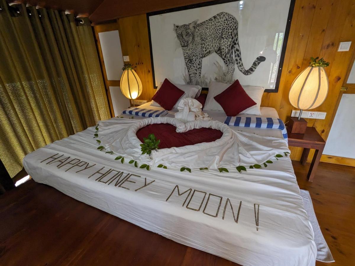 Yala Hotel Lion -Air Conditioned High Luxury Safari Camp מראה חיצוני תמונה