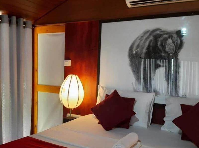 Yala Hotel Lion -Air Conditioned High Luxury Safari Camp מראה חיצוני תמונה