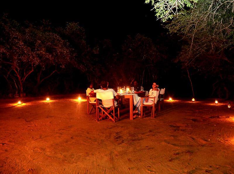 Yala Hotel Lion -Air Conditioned High Luxury Safari Camp מראה חיצוני תמונה