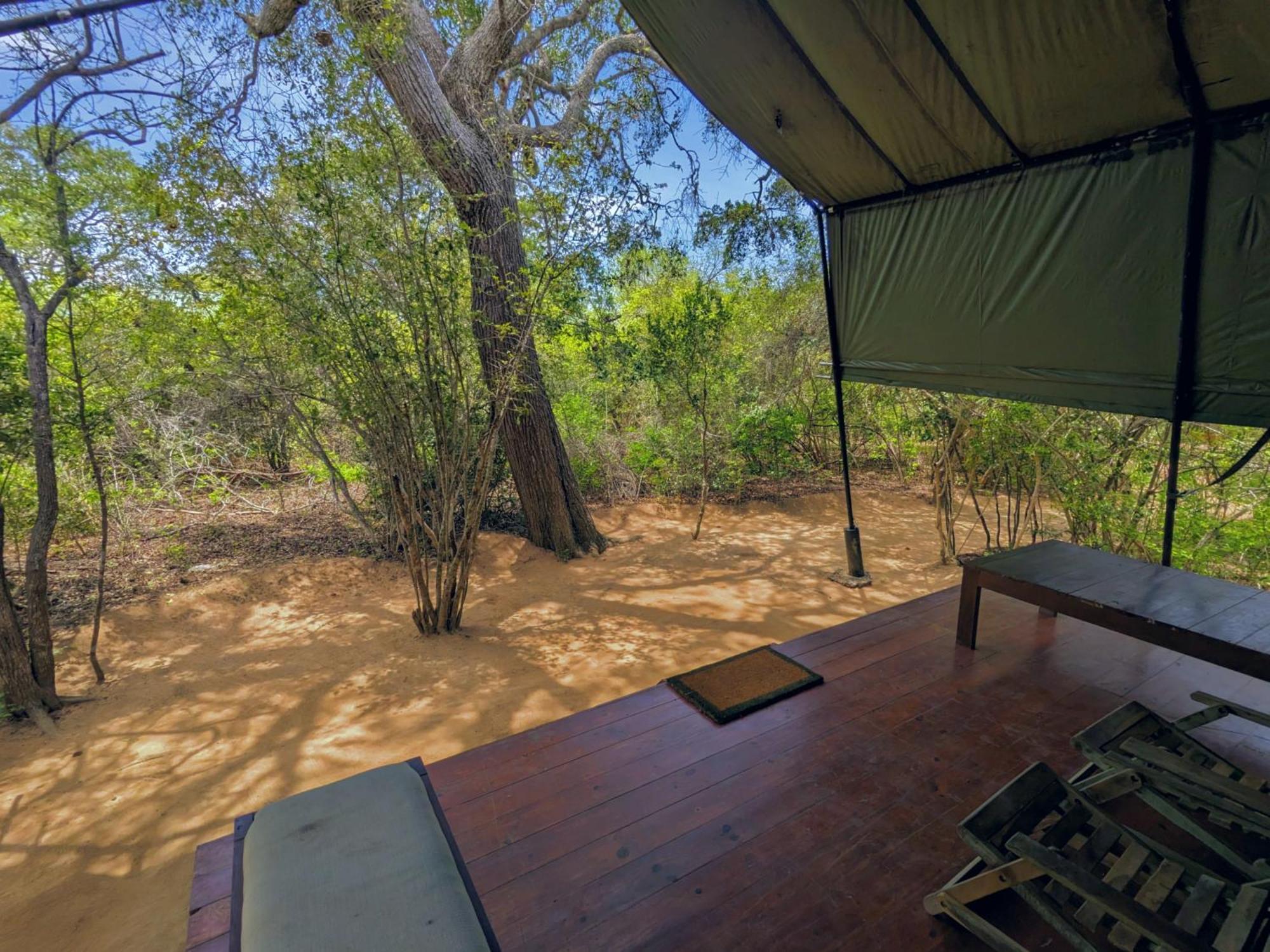 Yala Hotel Lion -Air Conditioned High Luxury Safari Camp מראה חיצוני תמונה