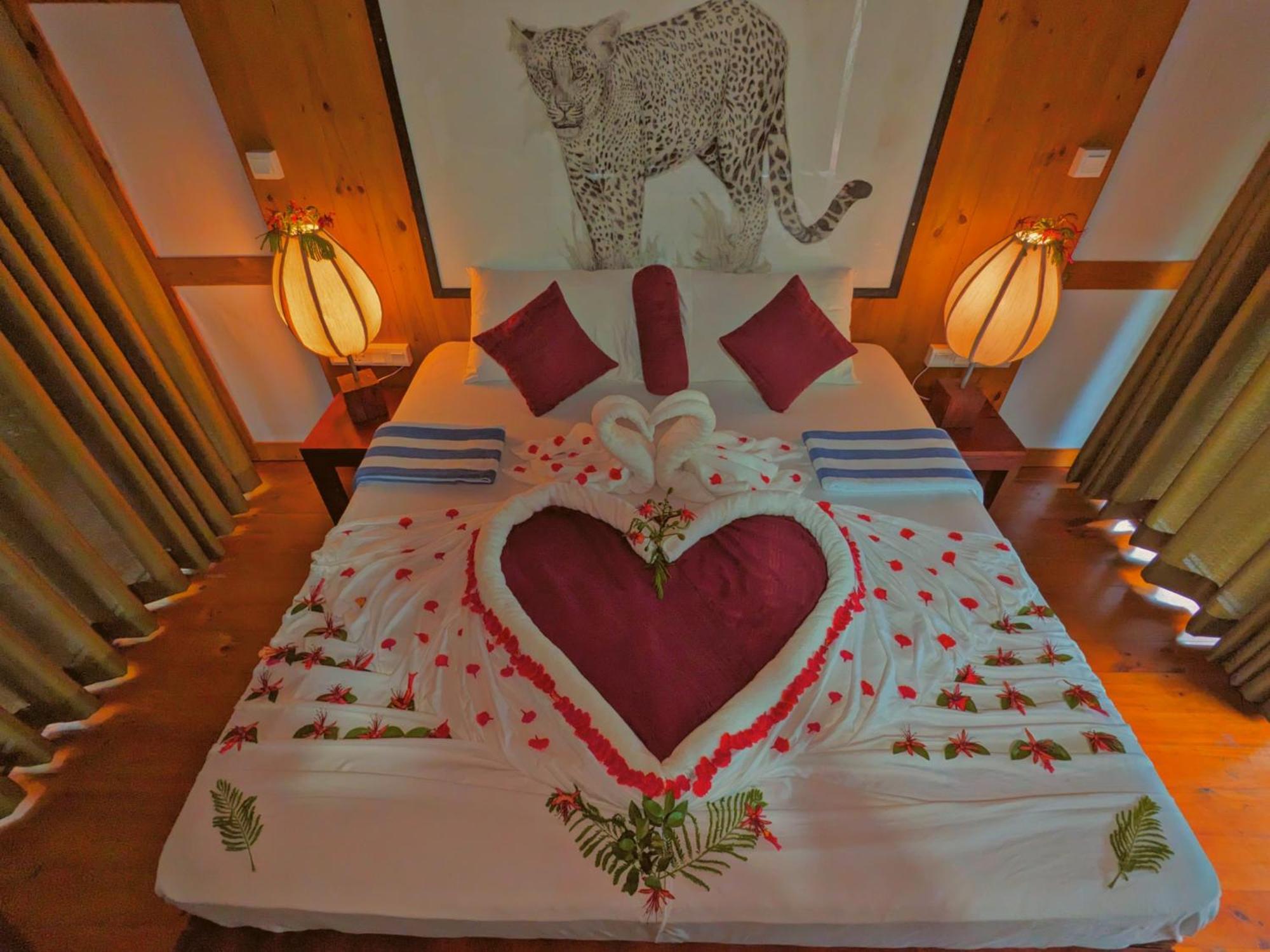 Yala Hotel Lion -Air Conditioned High Luxury Safari Camp מראה חיצוני תמונה